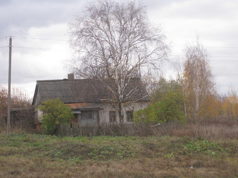 Дом Митрофановых