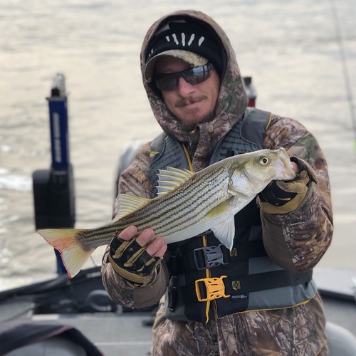 Photo of  Man holding Striped Bass