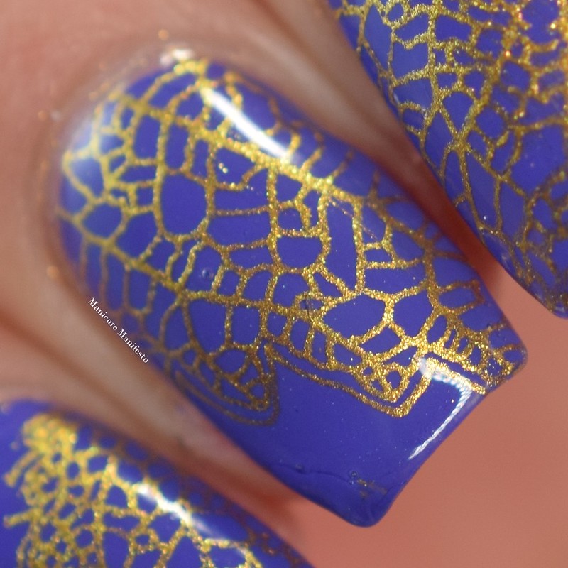 Born Pretty Store Stamping Polish Review