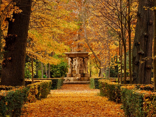 Jardín del Príncipe (Aranjuez en otoño)