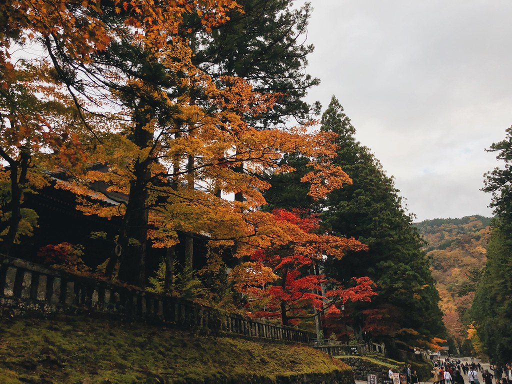 Fall Foliage in Nikko, Japan