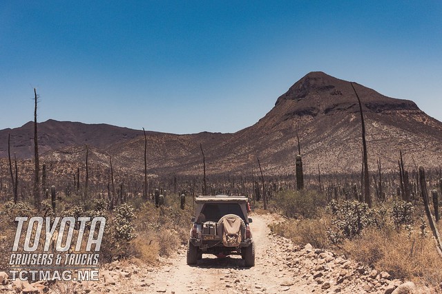 South of the Border – A Baja Adventure