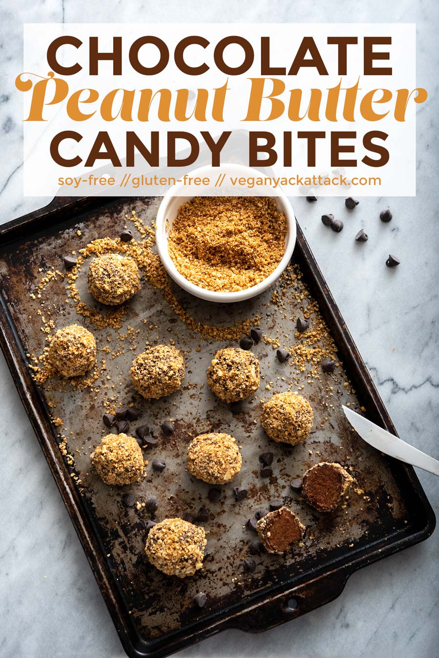 Easy-to-make and with only 8 ingredients, these Chocolate Peanut Butter Candy Bites are perfect for satiating that sweet tooth in no time! From The Vegan 8 Cookbook, by Brandi Doming. #vegan #glutenfree #soyfree