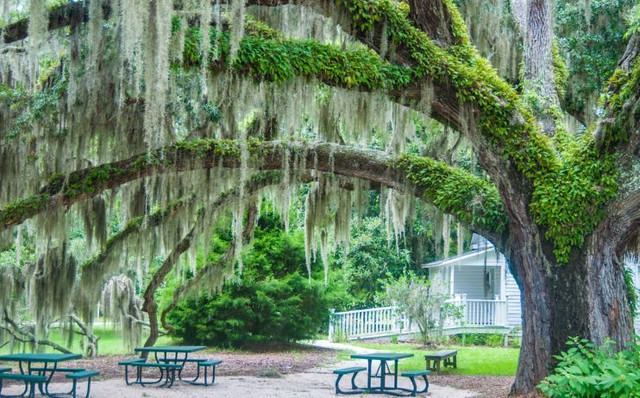 places to visit in south carolina 