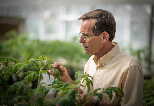 Joseph Koepper is pictured in a greenhouse with plants.