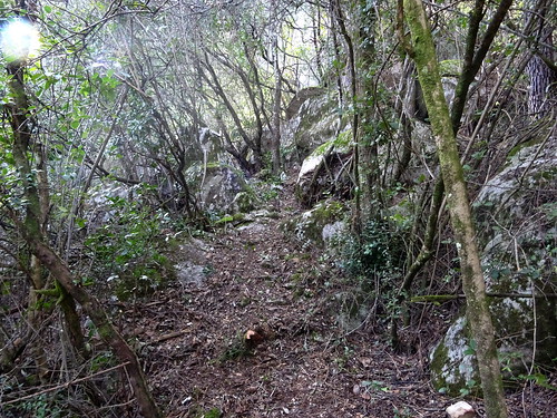 Le sentier à l'approche du ruisseau de Ranedda