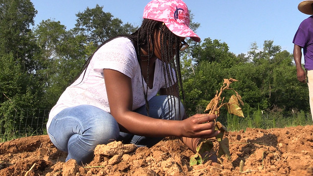 A young woman works with a plant in a garden.