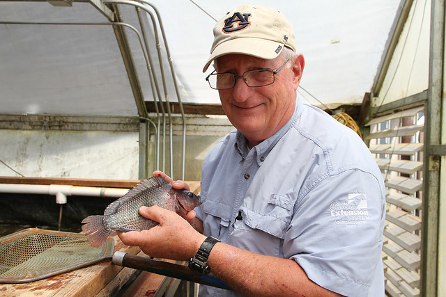 Jesse Chappell holds a fish in a greenhouse.