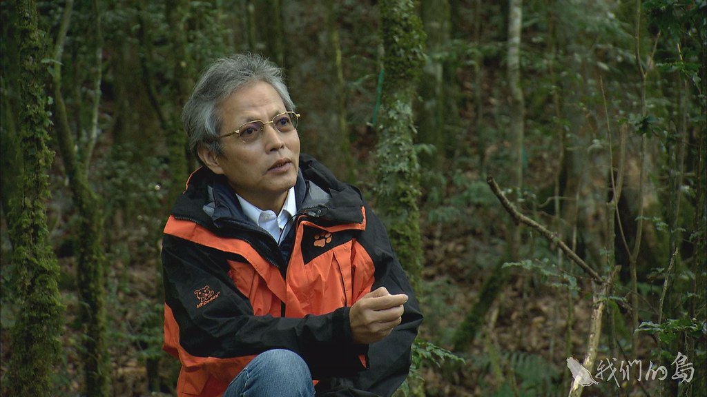 成功大學台文所所長陳玉峯回憶台灣森林保護歷史。