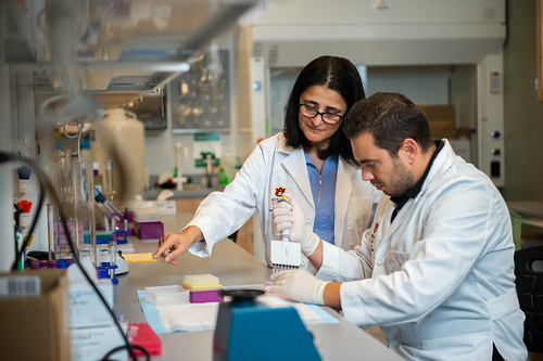Auburn University researchers work in a lab.