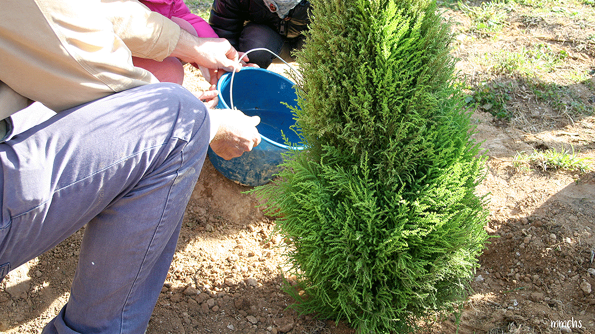 plantando un árbol con niños en Paterna
