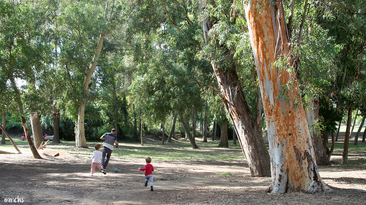parque San Vicente de Liria