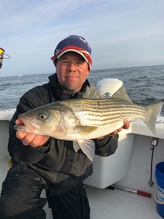 Photo of Man holding striped bass