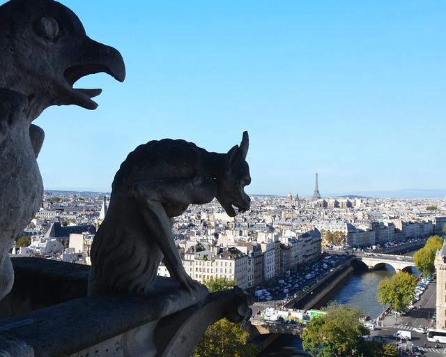 Vistas de París desde las torres de Notre Dame