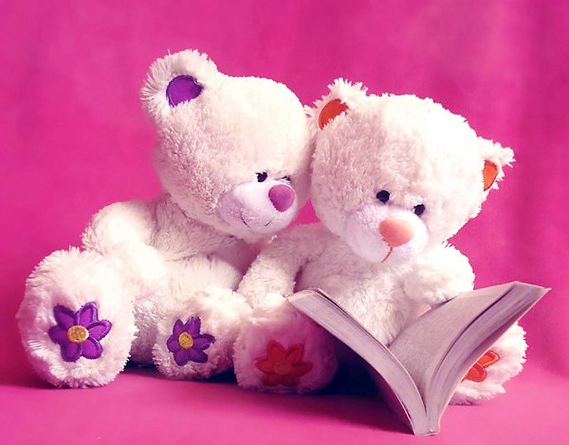 teddy day 2022 images and quotes 
