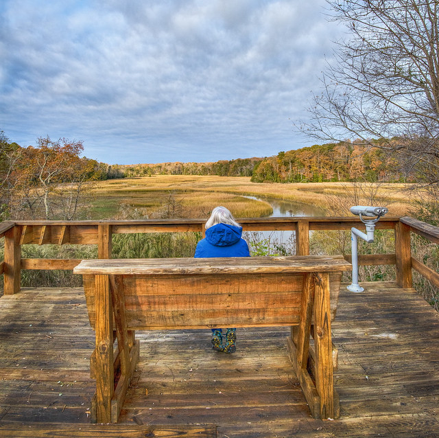 Just behind the visitor center is the peaceful Taskinas Creek Overlook at York River State Park, Va