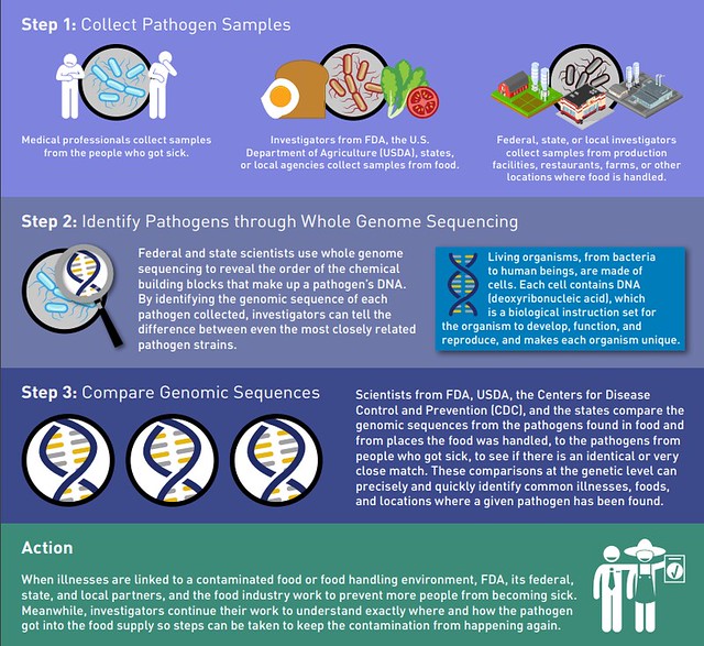 Whole Genomic Sequencing graphic