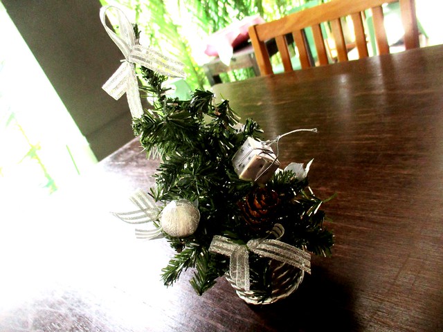 Miniature Christmas trees