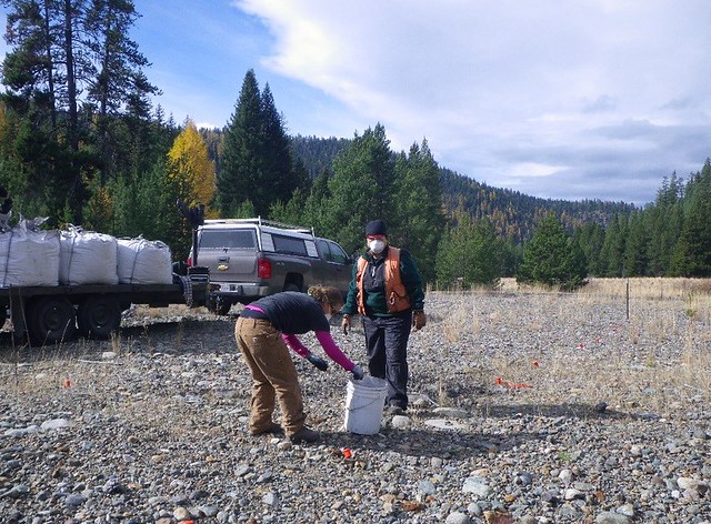 Forest Service researchers Sierra Larson and Joanne Tirocke apply biochar on an abandoned gold mine dredge site