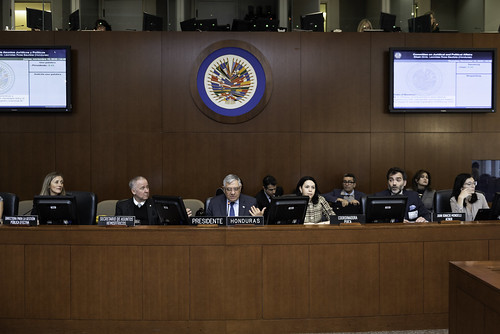 Countries Assess at the OAS the Implementation of the Inter-American Program for Universal Civil Registry