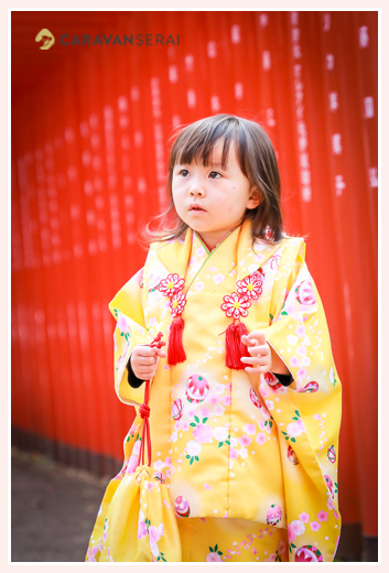七五三　3歳の女の子　黄色の着物　赤い鳥居