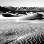 Rippled Dune