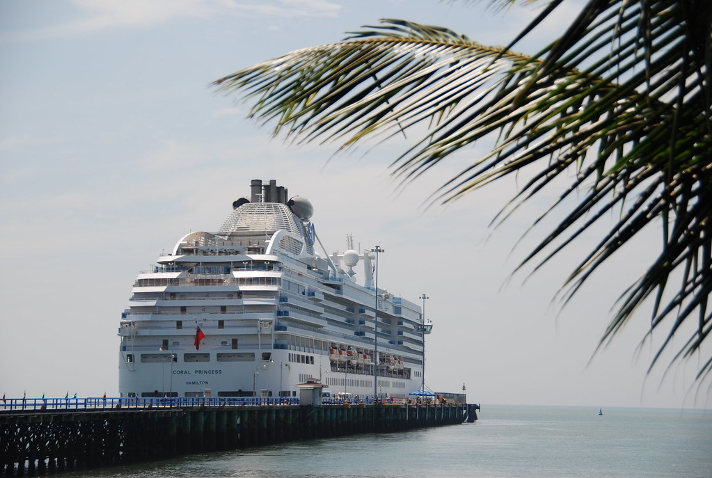 cruises from florida in november 2023