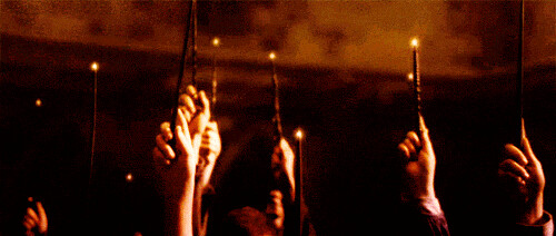 Image result for harry potter raised wands