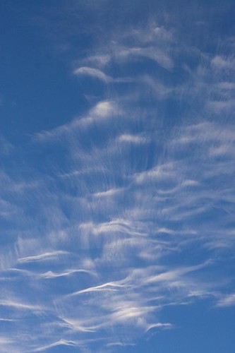 Cirrus clouds (DI01683) | Cirrus clouds are thin, wispy, and… | Flickr