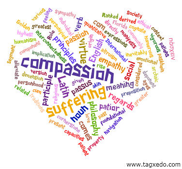 Image result for compassion