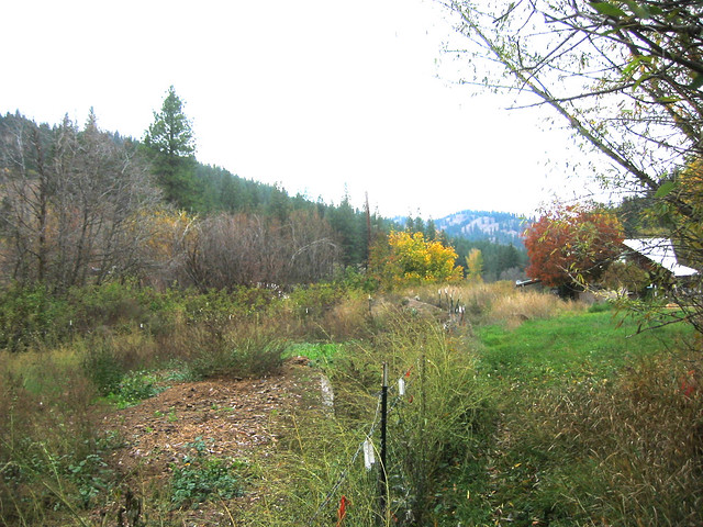 Web - Eagle Creek Ranch Conservation Easement