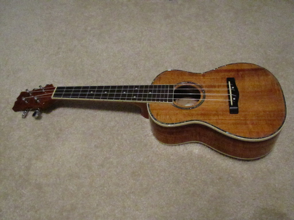 Image result for ukulele