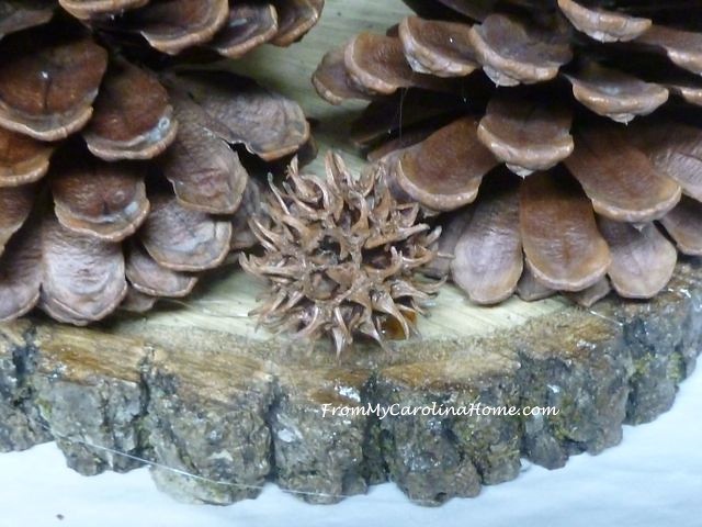 Pine Cone Ring Candle Holder ~ From My Carolina Home