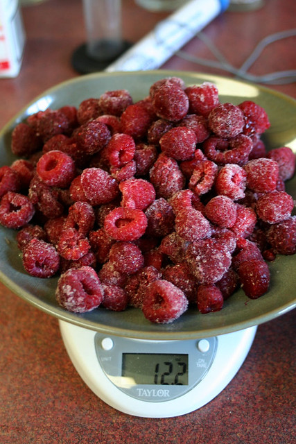 Raspberry Wheat: weighing the fruit
