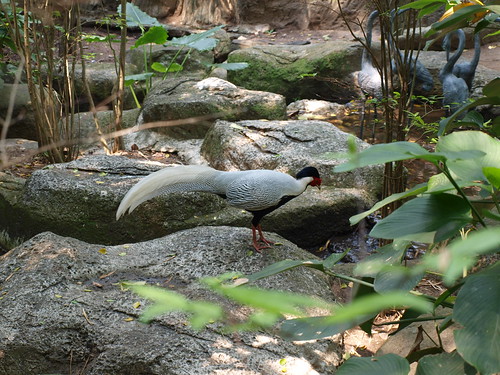 Khao kheo Zoo