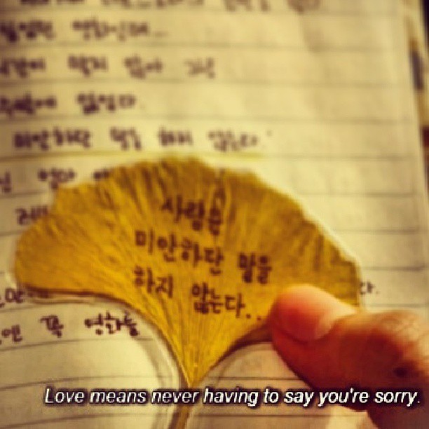 love is never having to say your sorry