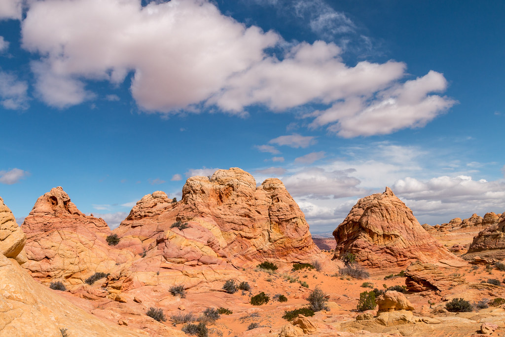 Cottonwood Teepees, Coyote Buttes South, Arizona