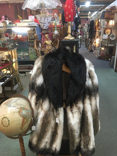grizzly fur