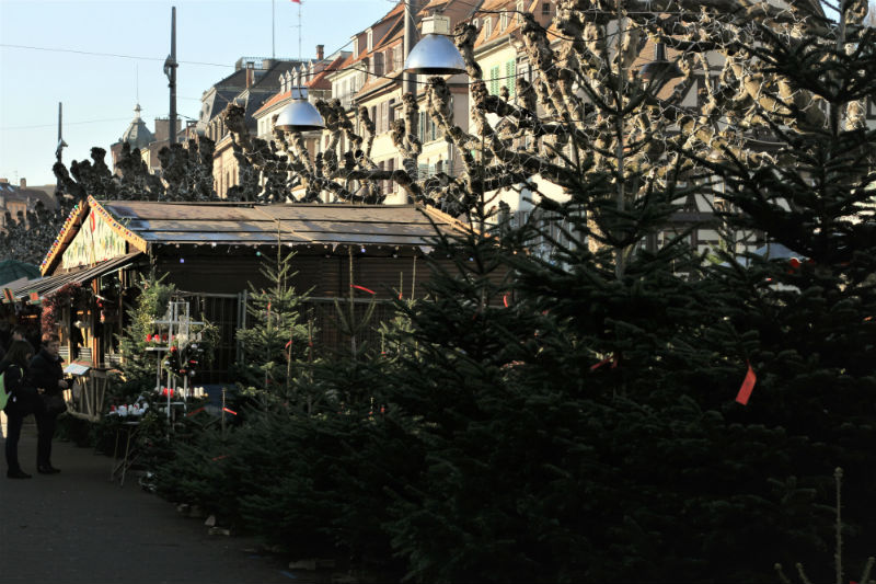 Estrasburgo en Navidad