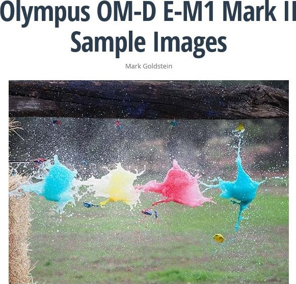 オリンパス OM-D E-M1 Mark II サンプル画像