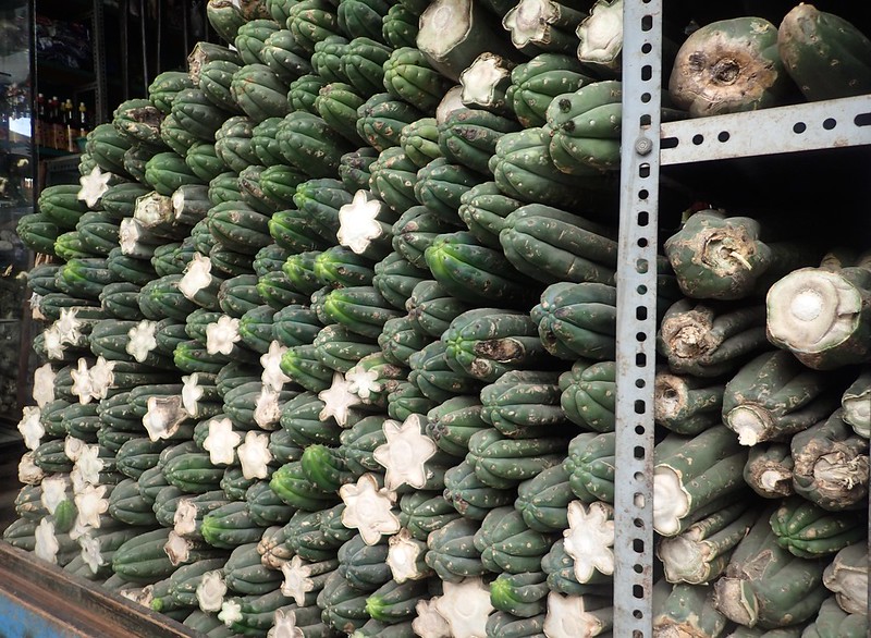 Cactus de San Pedro, mercado de Chiclayo.