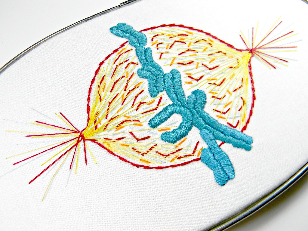 Image result for Cell biology embroidery
