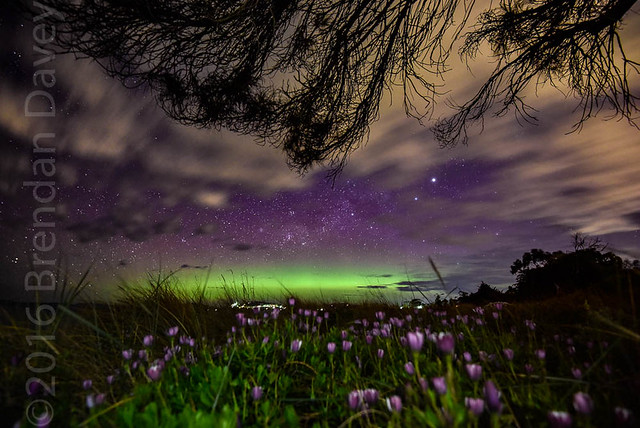 Aurora Australia, Tasmania
