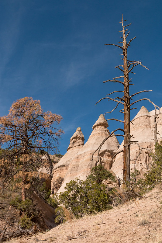 Kasha-Katuwe Tent Rocks National Monument, New Mexico