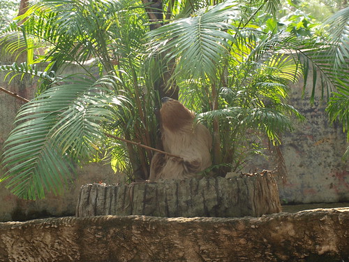 Khao kheo Zoo