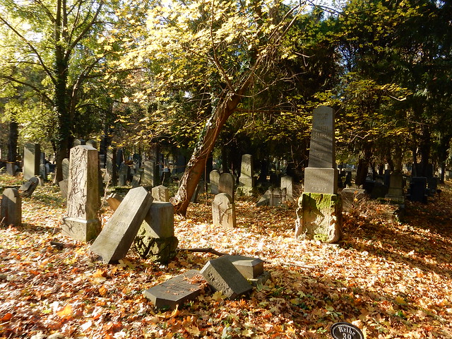 Alter jüdischer Friedhof am Zentralfriedhof