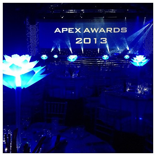 apex writing awards 2013
