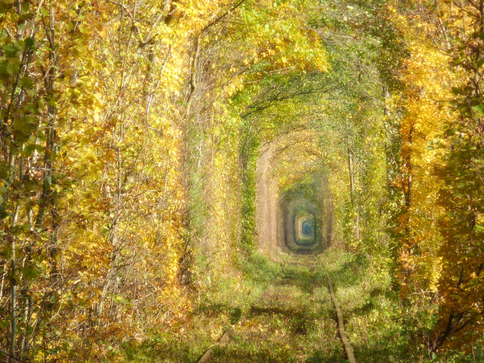 A Place Where Love Remains Eternal - Tunnel Of Love