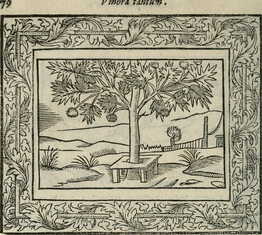 Image From Page 105 Of Minerua Britanna Or A Garden Of Flickr