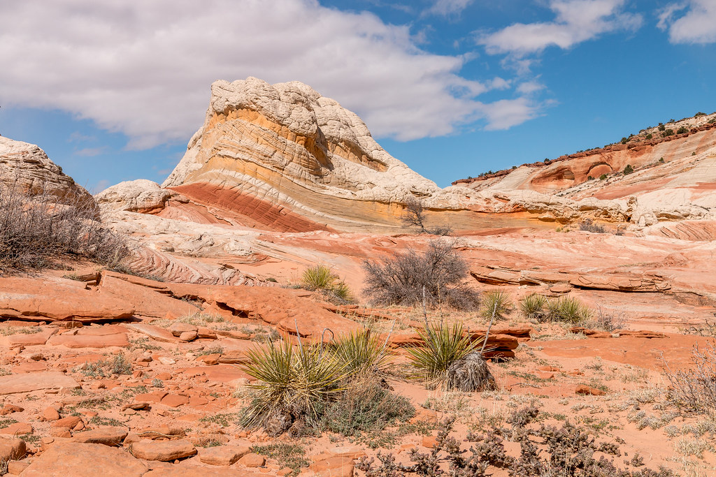 White Pocket, Arizona